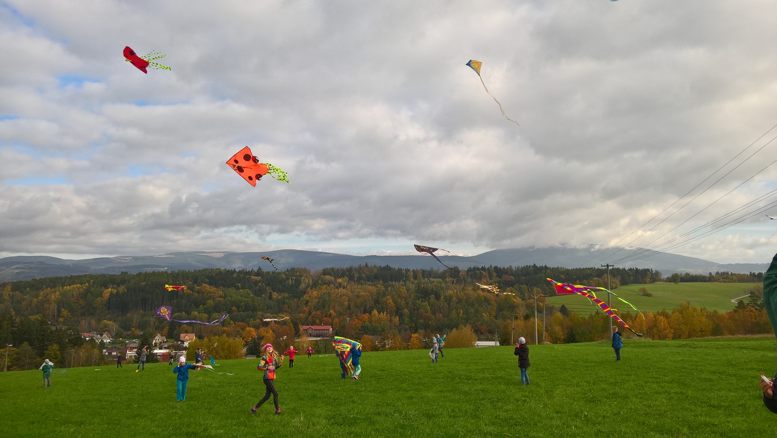 WP_20171013_10_18_24_Pro.jpg